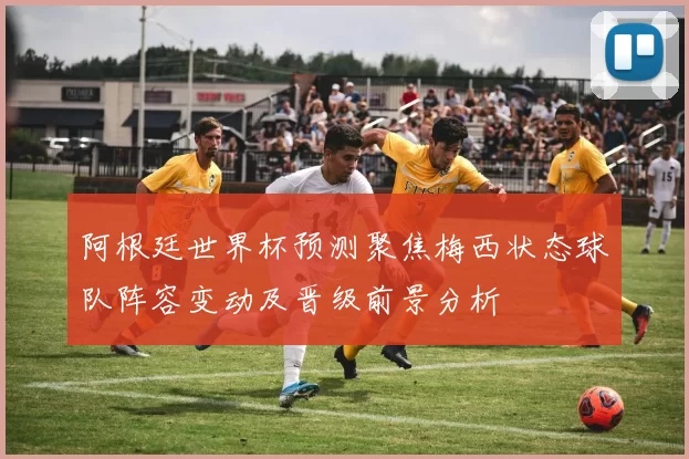 阿根廷世界杯预测聚焦梅西状态球队阵容变动及晋级前景分析
